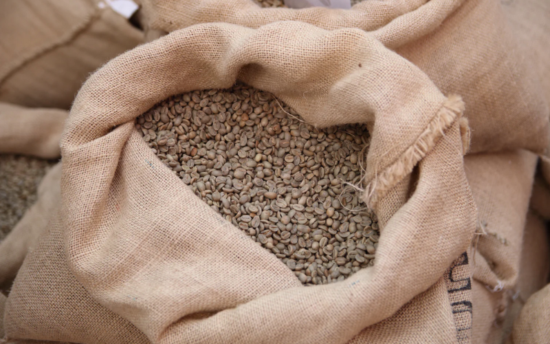 Coffee beans deals buyers