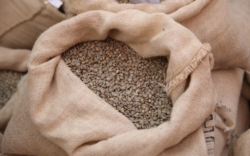 Buyers of coffee outlet beans