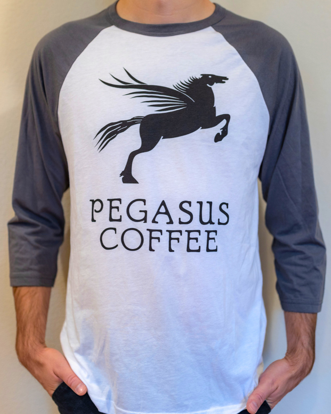 Pegasus Raglan Tee