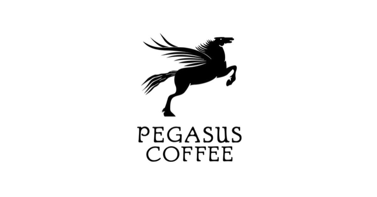 Hario Cold Brew Coffee Bottle – Pegasus Coffee