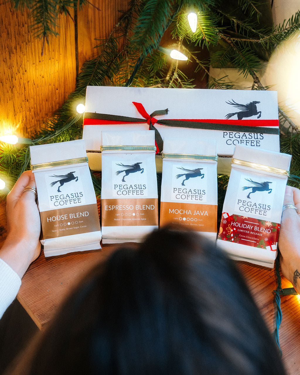 Pegasus Classics Sampler Set