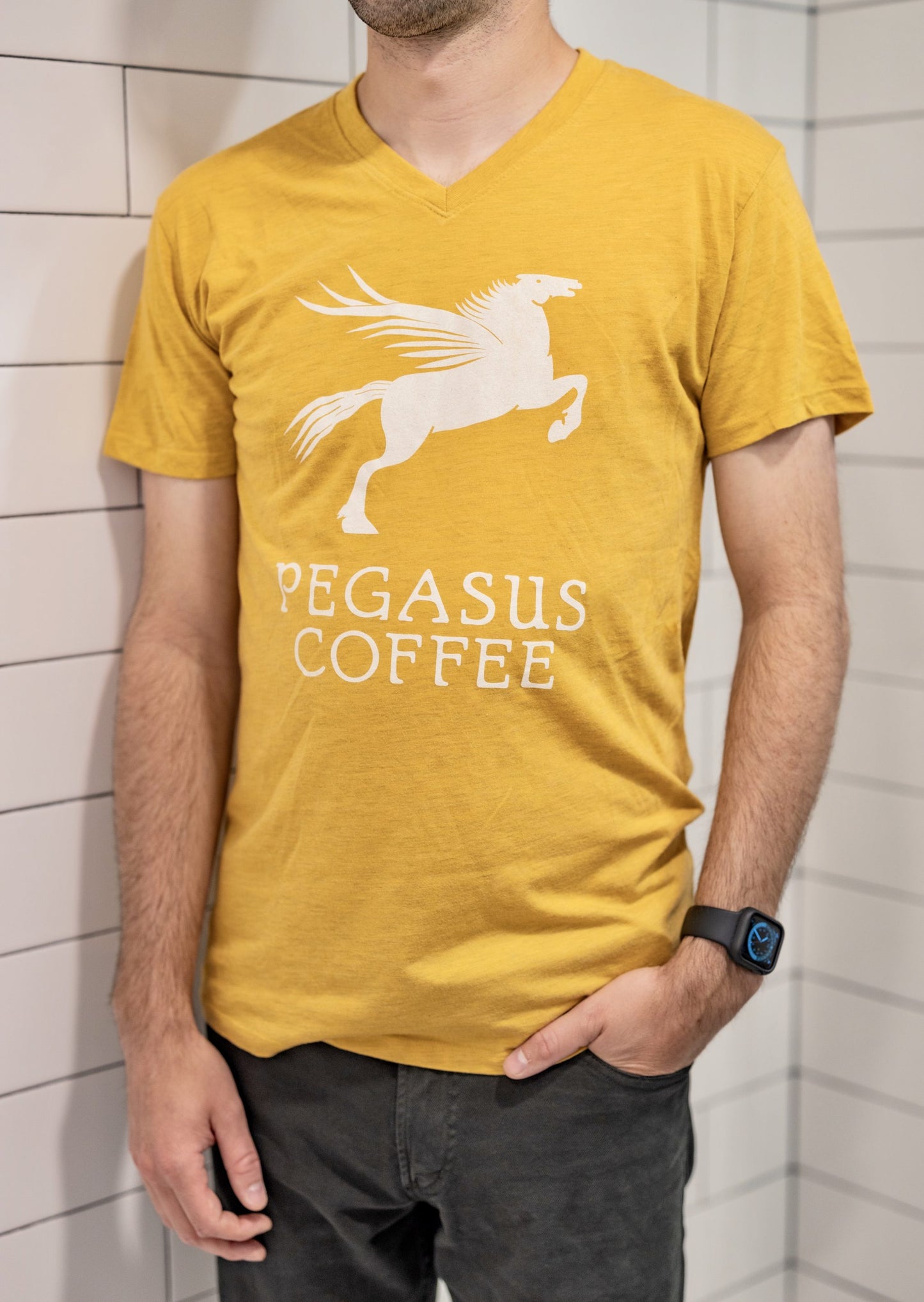 Pegasus V-Neck Tee