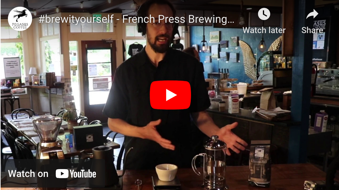 HOW TO BREW #greatcoffeeathome – French Press Demonstration
