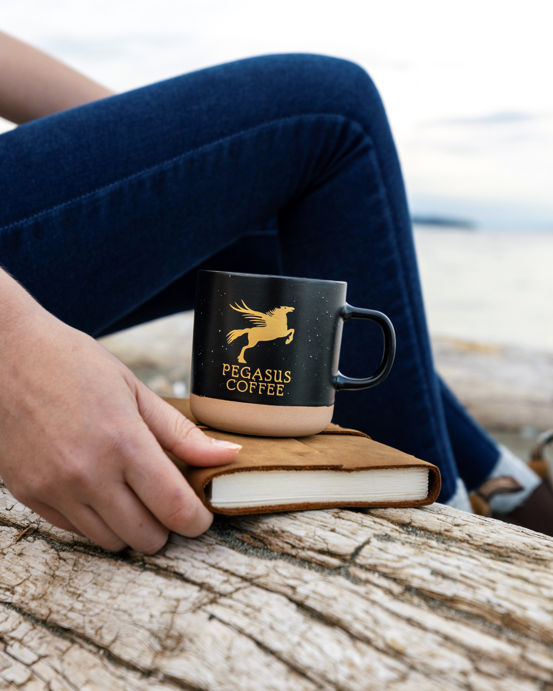 Ceramic Pegasus Mug