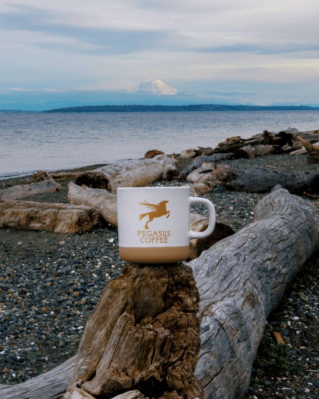 Ceramic Pegasus Mug