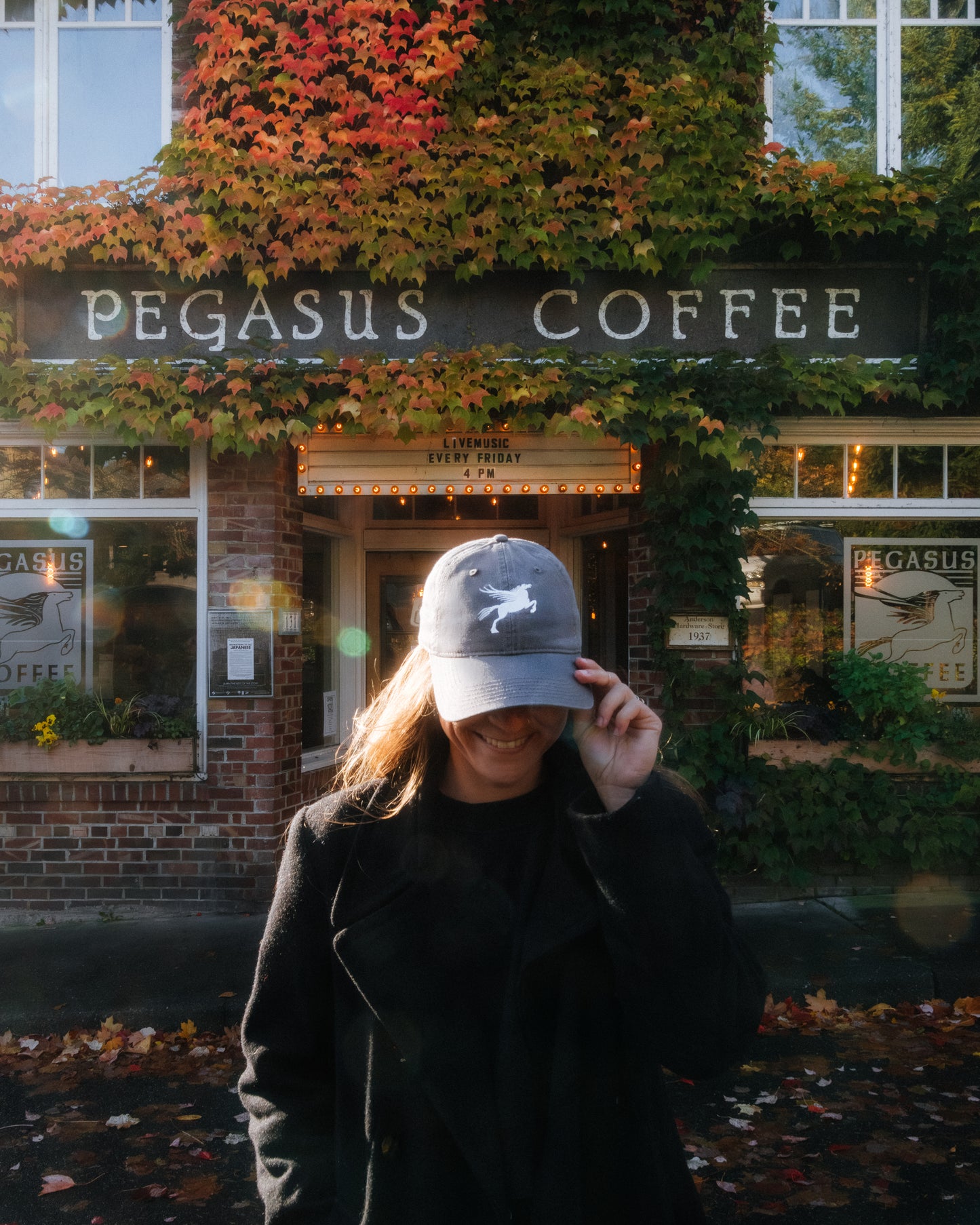 Pegasus Dad Hat