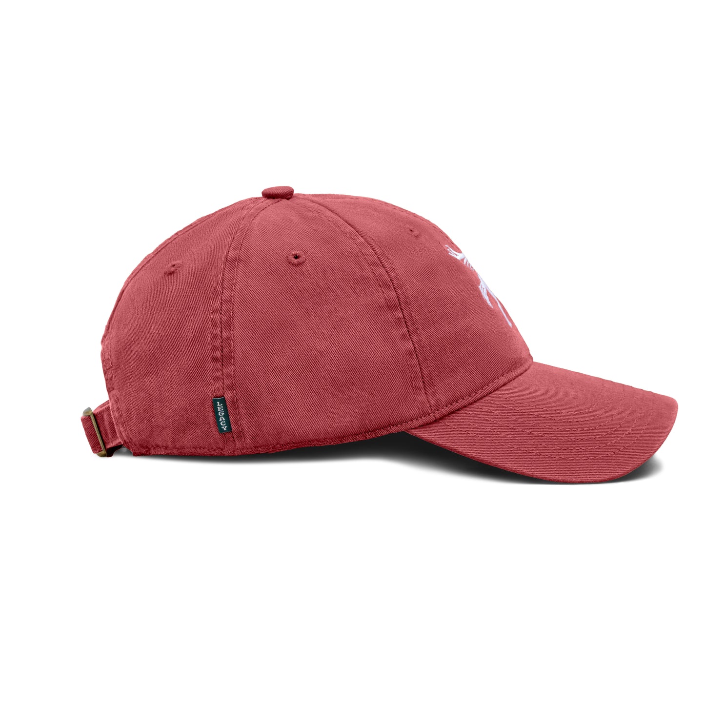 Pegasus Dad Hat