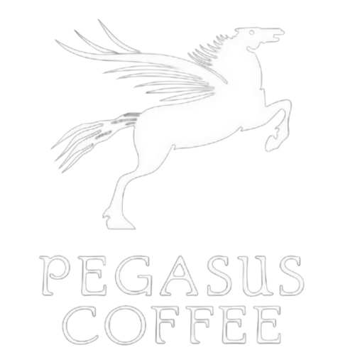 Baratza Vario Grinder – Pegasus Coffee