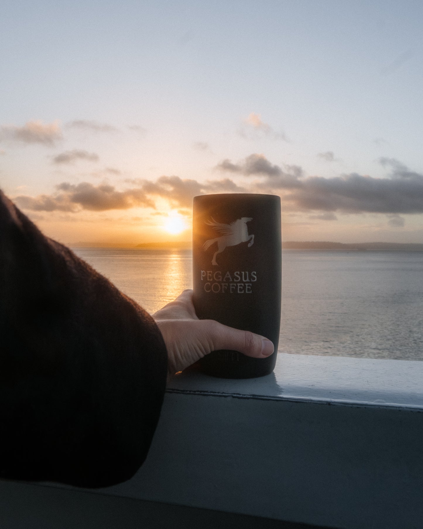 Pegasus Insulated Tumbler