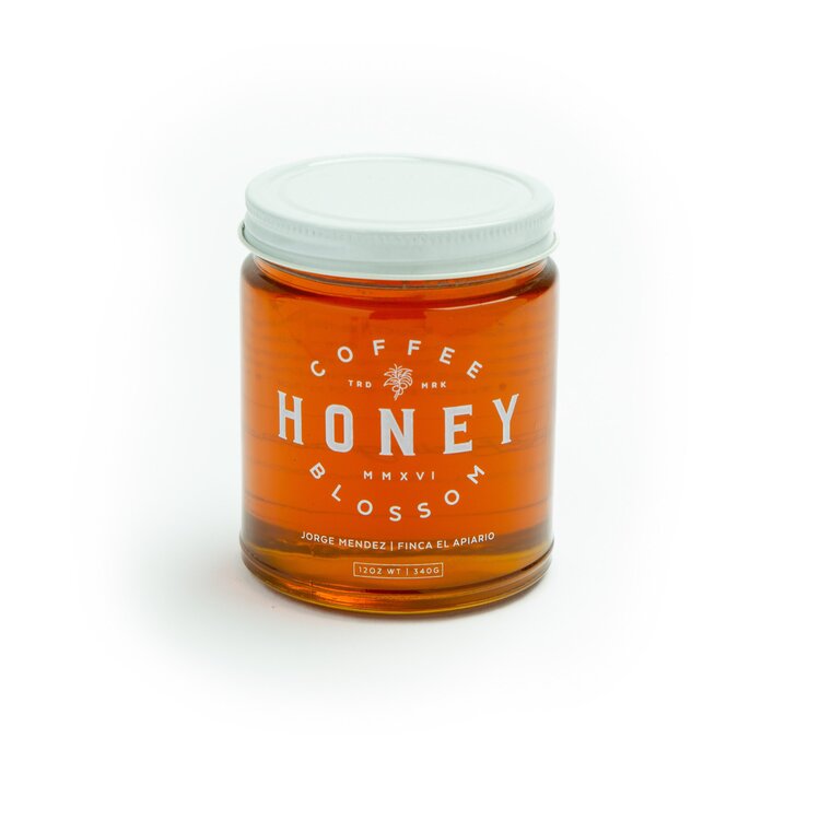 Coffee Blossom Honey (12oz)